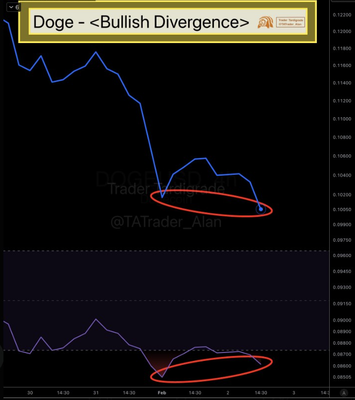 Dogecoin 4H Chart | Source: Tardigade, X