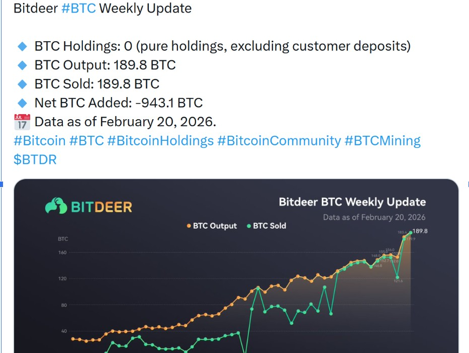 Bitdeer BTC Weekly Update | Source: Bitdeer Official