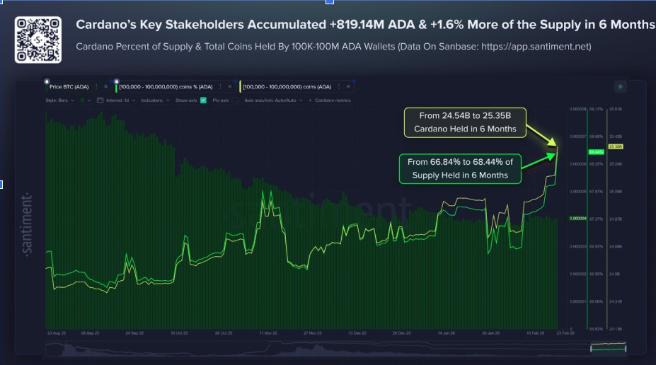Cardano Whale Accumulation | Source: Santiment Data