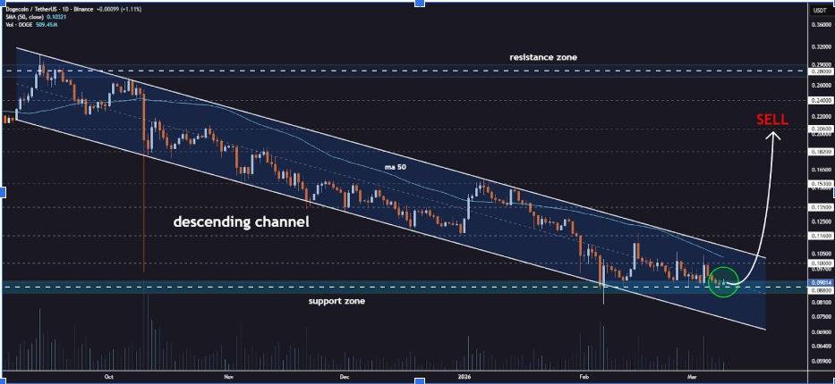 DOGEUSDT Daily Chart | Source: Jonathan, X