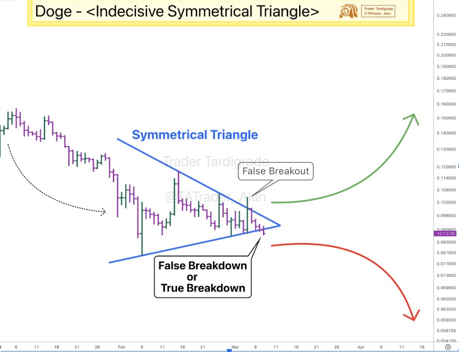 DOGEUSD Daily Chart | Source: Tardigrade, X