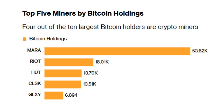 Bitcoin Holders | Source: BitcoinTreasuries.net