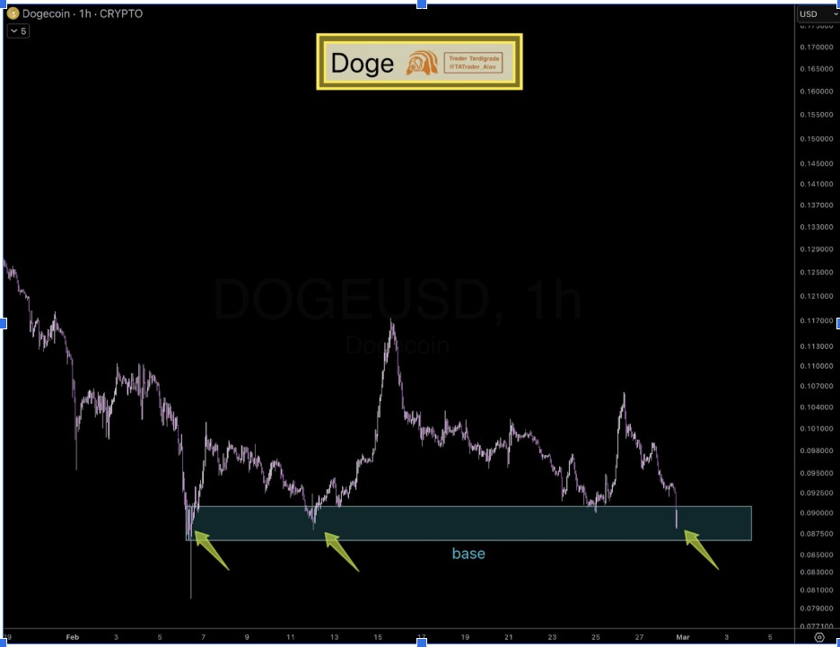 DOGEUSD-Stundenchart | Quelle: Tardigrade, X