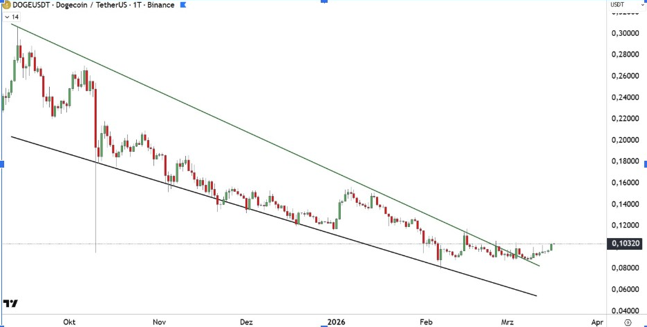 DOGEUSD 1D CHART | SOURCE: X