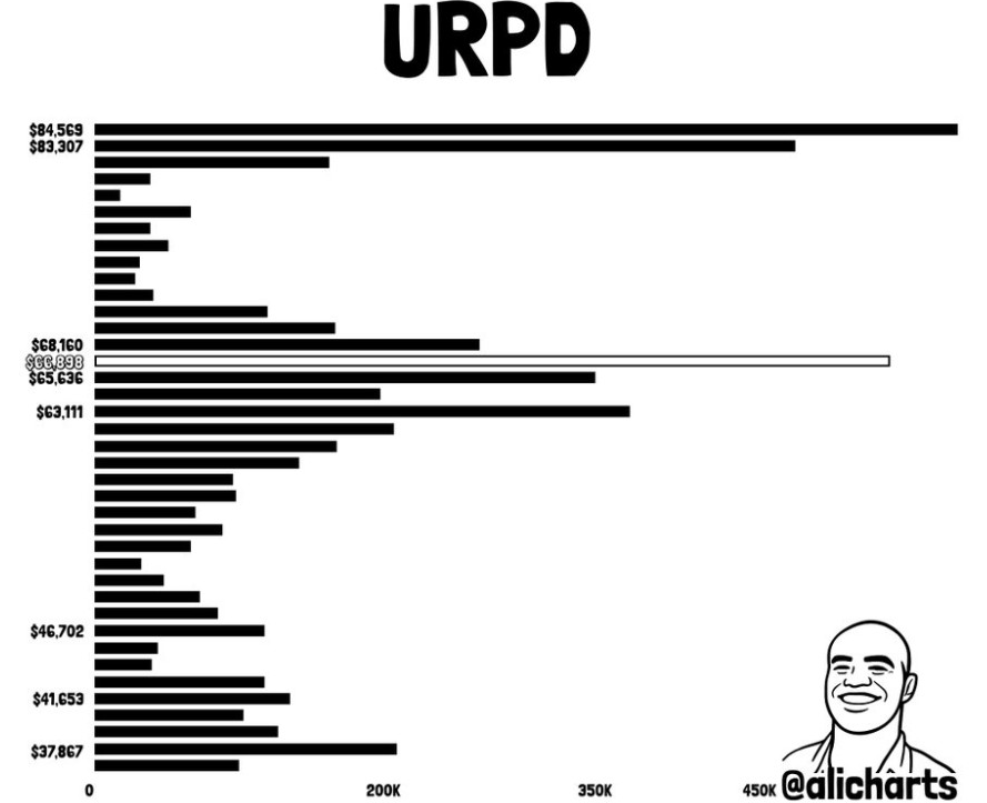 BTC URPD Chart | Source: Ali, X