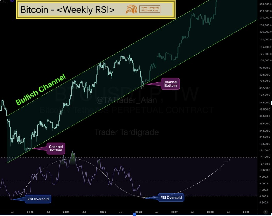 Bitcoin Weekly RSI Chart | Source: Tardigrade, X
