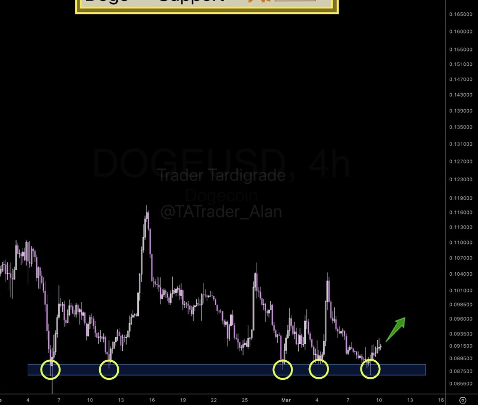Dogecoin 4-H Chart | Source: Tardigrade, X