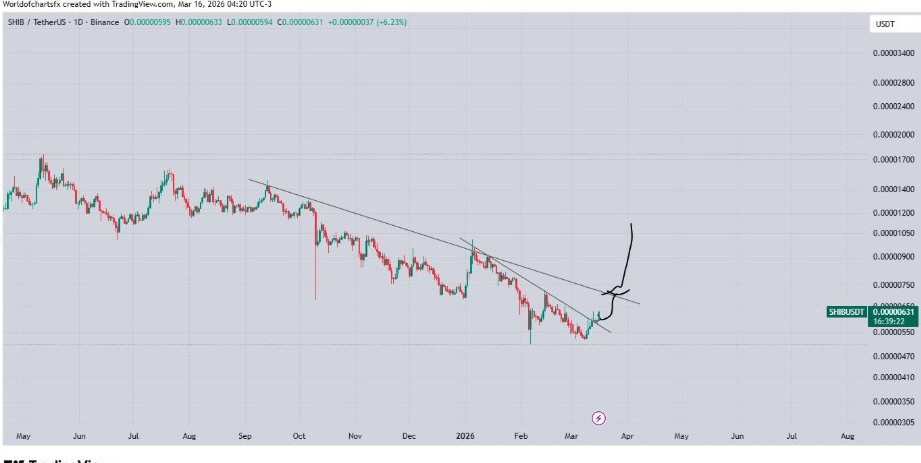 กราฟรายวัน SHIBUSDT | ที่มา: World of Charts, X