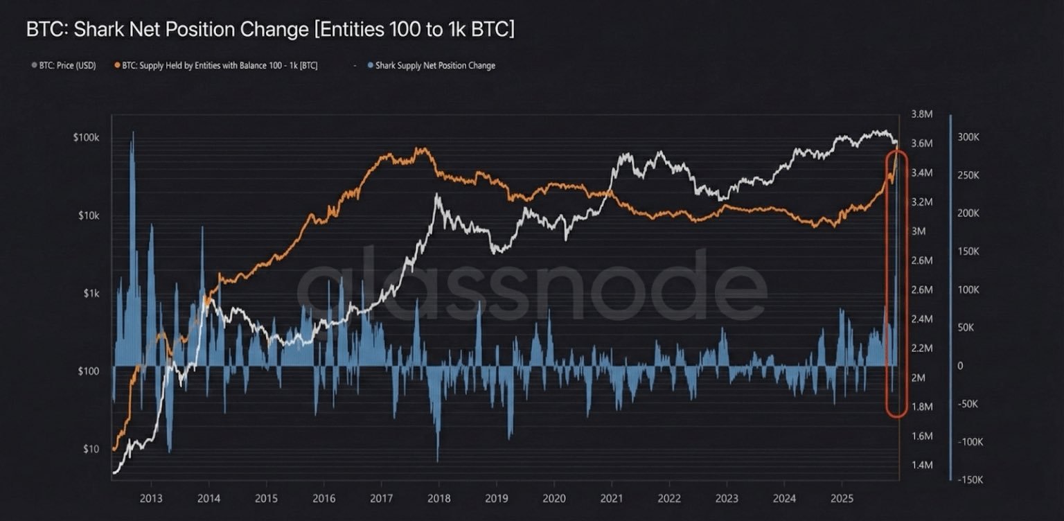 Bitcoin sharks net position change | Source: Glassnode