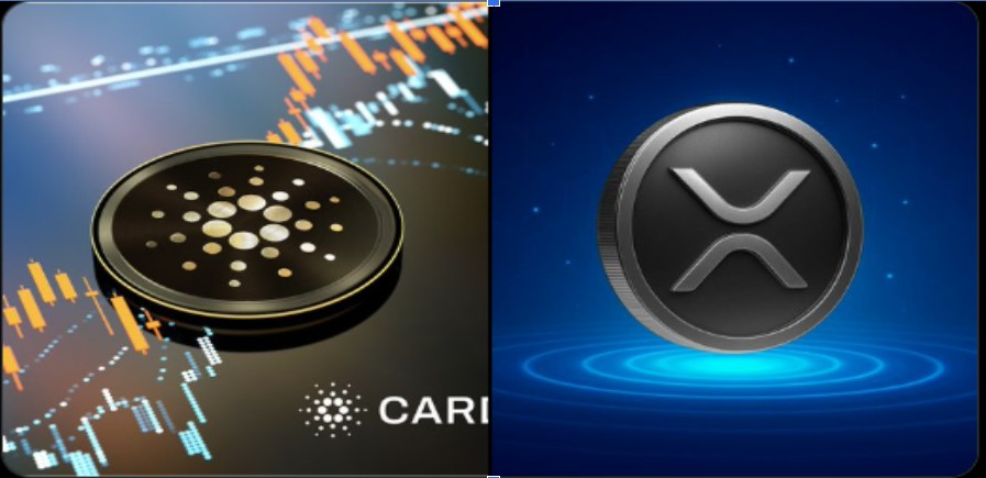 Cardano XRP | Source: <a href=
