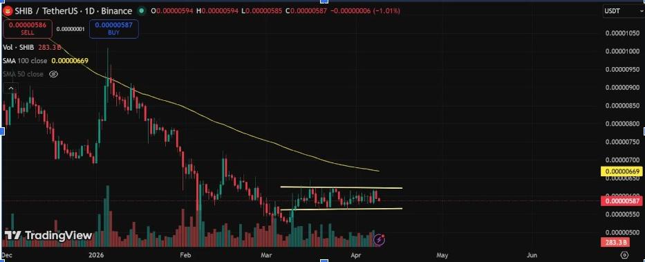 กราฟราคาสุนัขพันธุ์ชิบะอินุรายวัน | ที่มา: TradingView