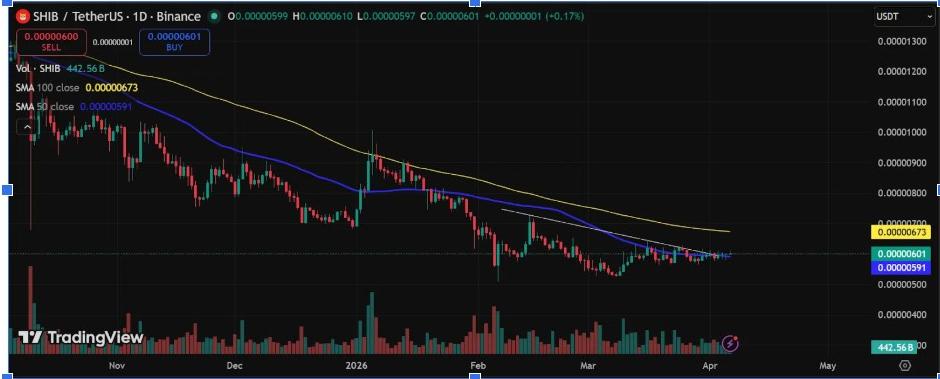 SHIBUSDT Daily Chart | Source: TradingView