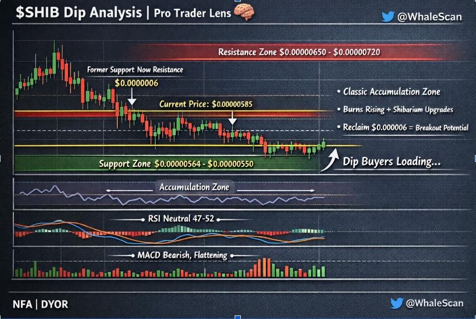 SHIB Dip Analysis | Source: Whale Scan, X