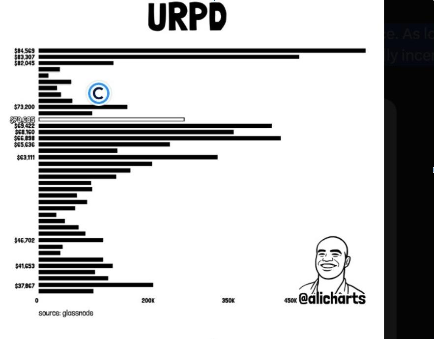 BTC URPD | Source: X