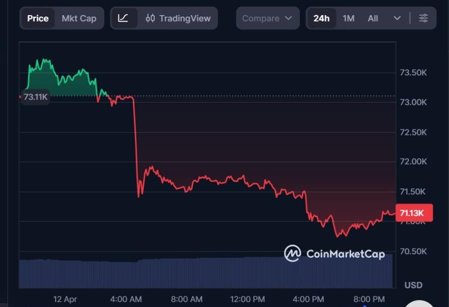 BTCUSD 1-Day Chart | Source: CMC