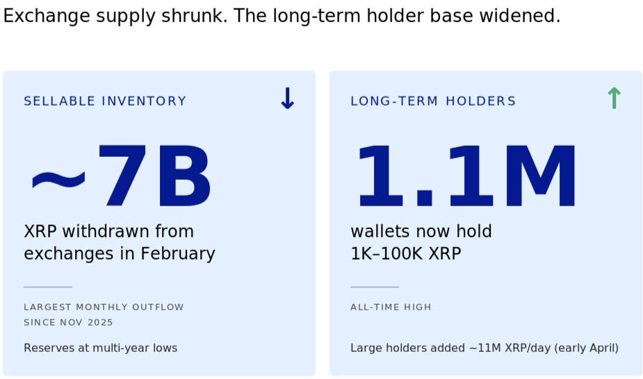 XRP accumulation data | Source: Evernorth