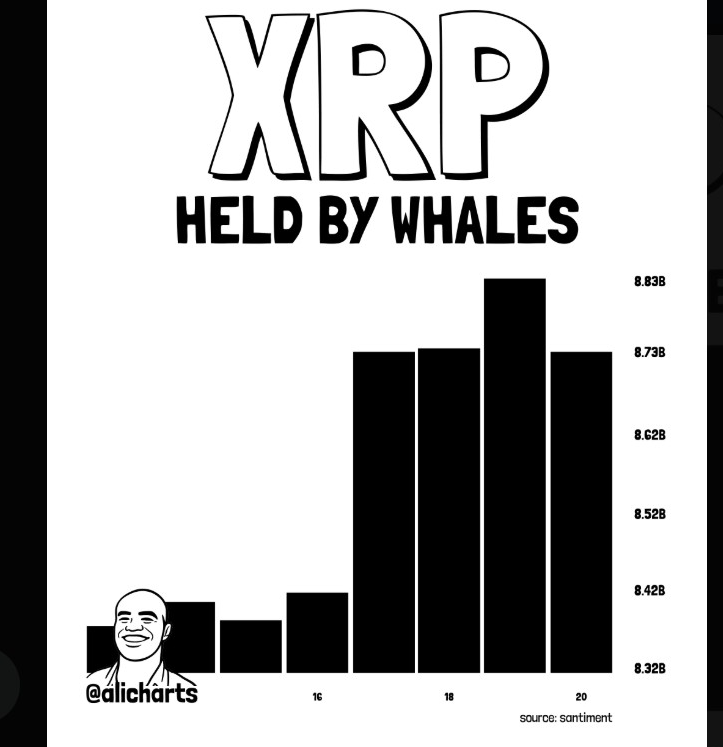 Ballenas XRP | Fuente: X