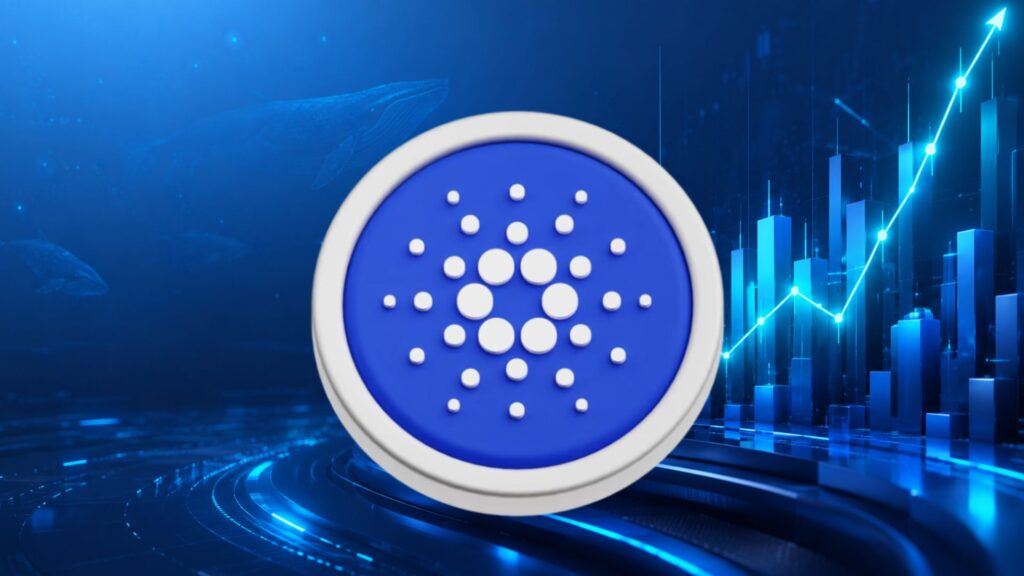 Le prix du Cardano est sous pression alors que les baleines ADA augmentent leurs avoirs
