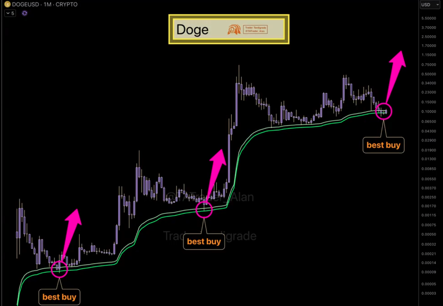 Dogecoin price at key support | Source: Trader Tardigrade