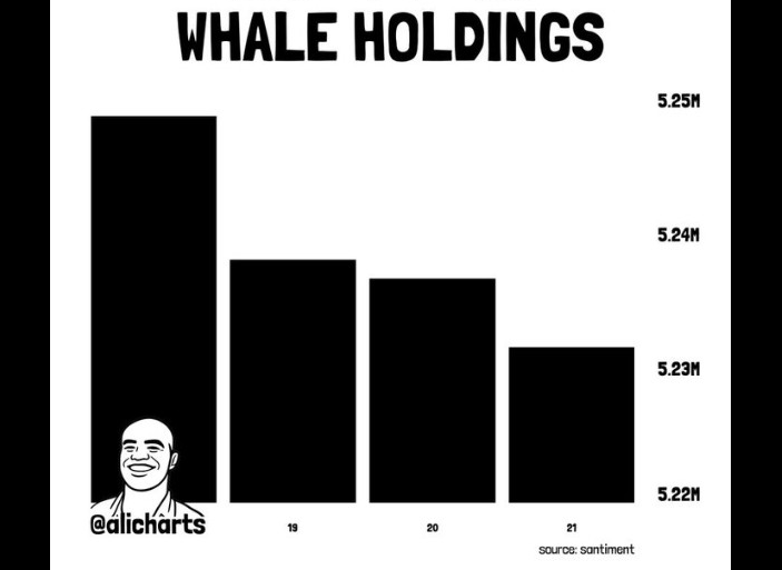 Bitcoin Whale Holdings | Source: X