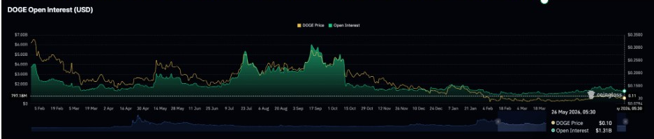 DOGE Open Interest | Quelle: Coinglass Daten