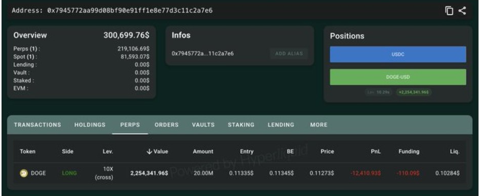New Wallet Opens 10x DOGE Long Position | Source: Lookonchain Data