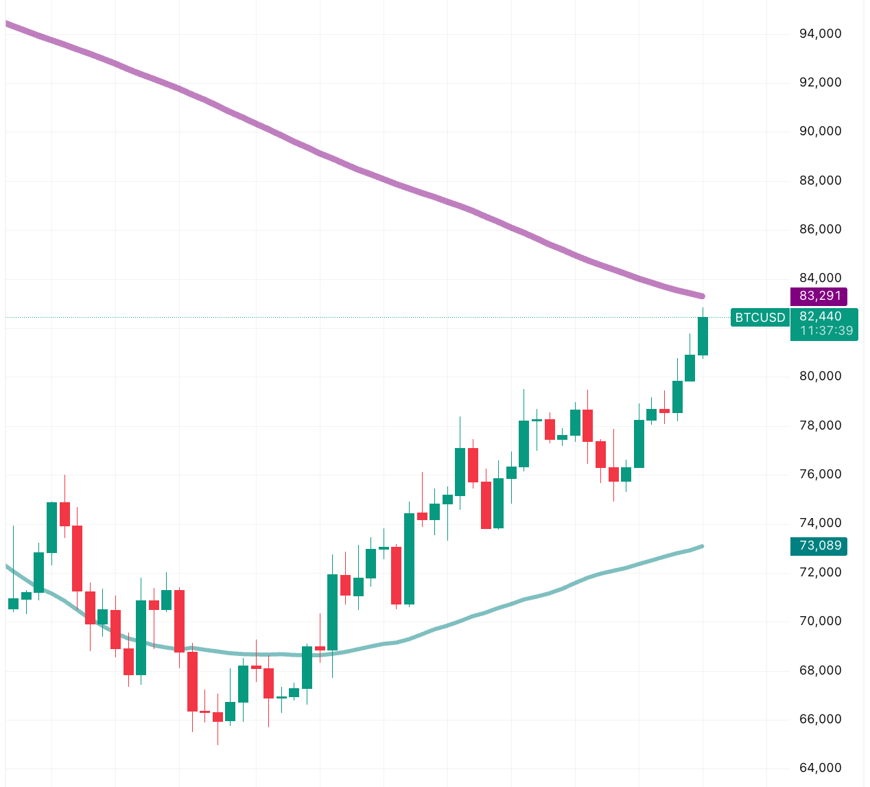 Bitcoin price action chart | Source: TradingView