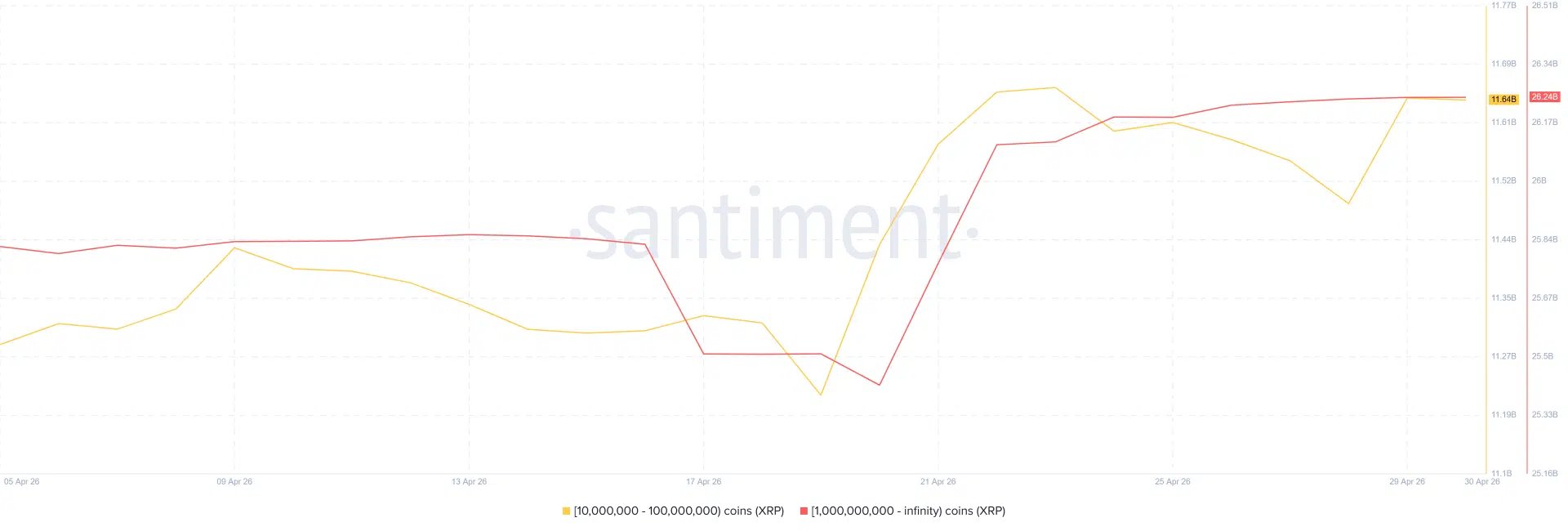 การสะสม XRP ของวาฬ | ที่มา: Santiment