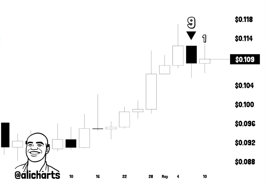DOGE 3-Day Chart | Source: Ali, X