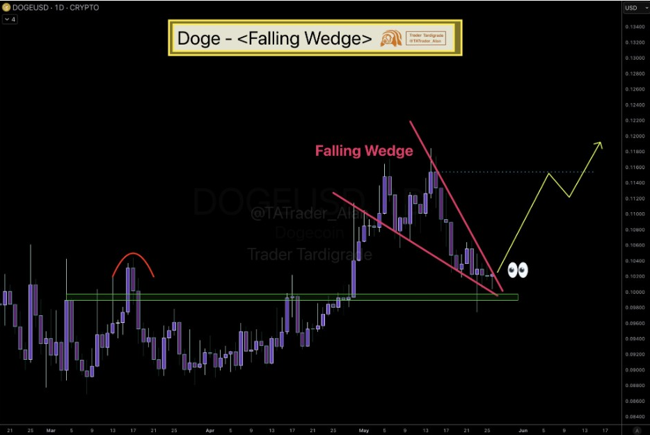 DOGEUSD Tages-Chart | Quelle: Tardigrade, X