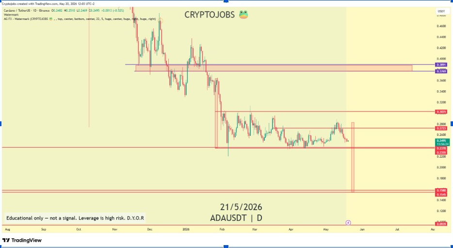 ADAUSDT Daily Chart | Source: Crypto Jobs, X
