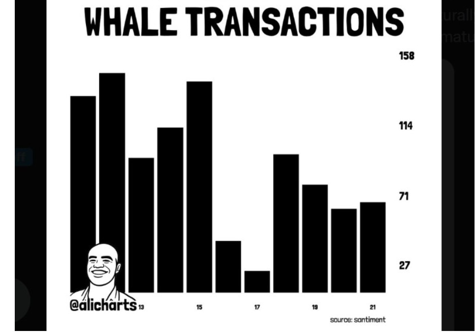 XRP Whale-Transaktionen | Quelle: X