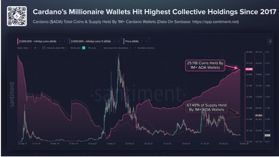 Cardano Whales | Source : X