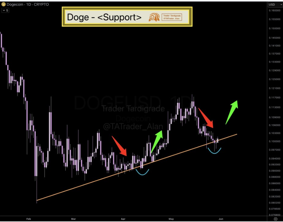 Gráfico diario de criptomonedas DOGE | Fuente: Tardigrade, X