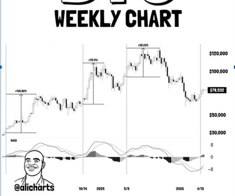 BTCUSD 1W CHART | <a href=