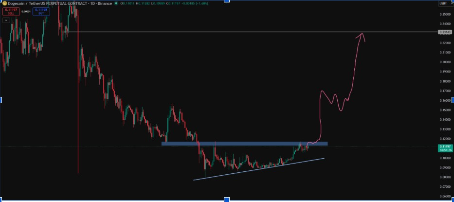 DOGEUSDT Daily Chart | Source: Ryker, X