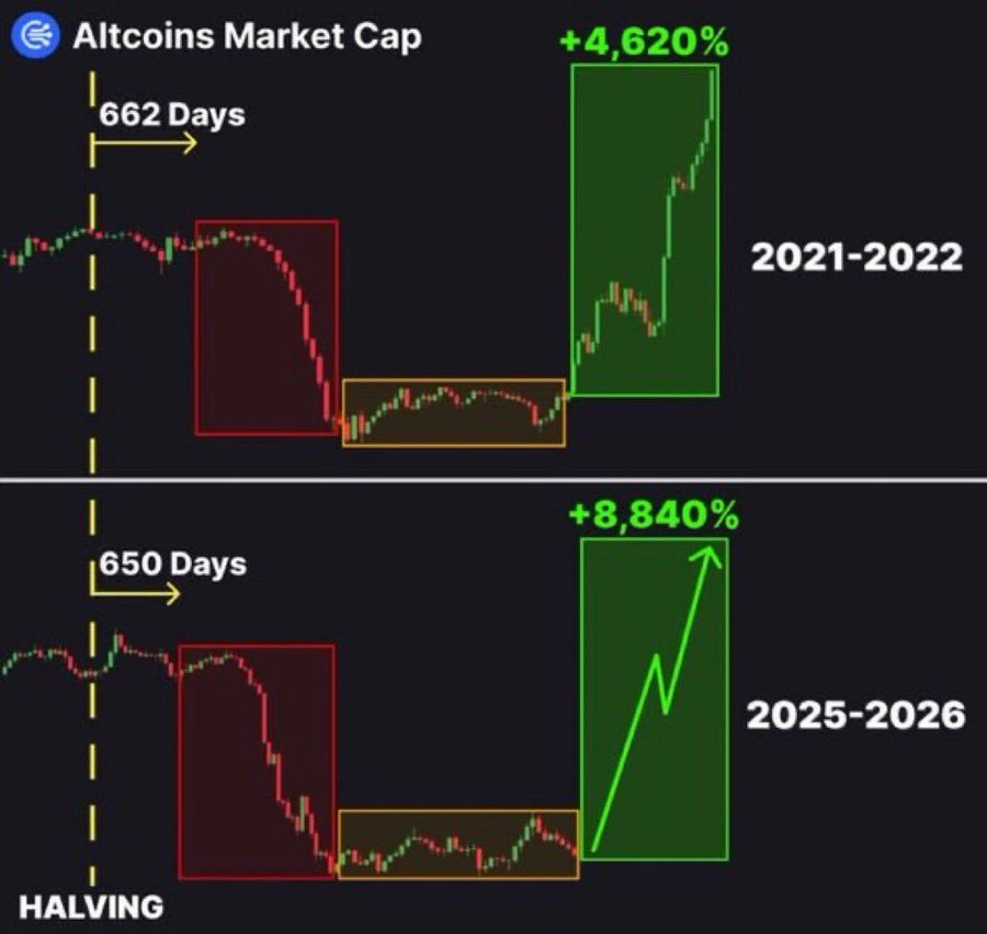 Diagramm zur Marktkapitalisierung von Altcoins | Quelle: Satoshi, X