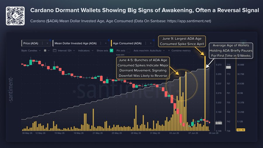 กระเป๋าเงิน Cardano ที่ไม่ได้ใช้งาน | ที่มา: X