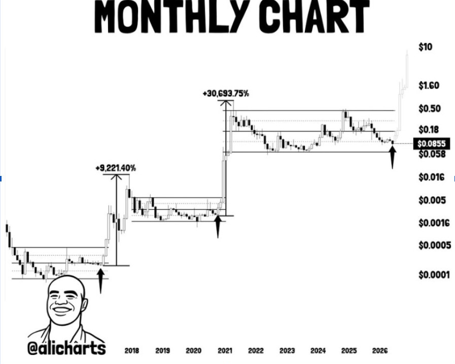 Gráfico mensual de DOGE | Fuente: X