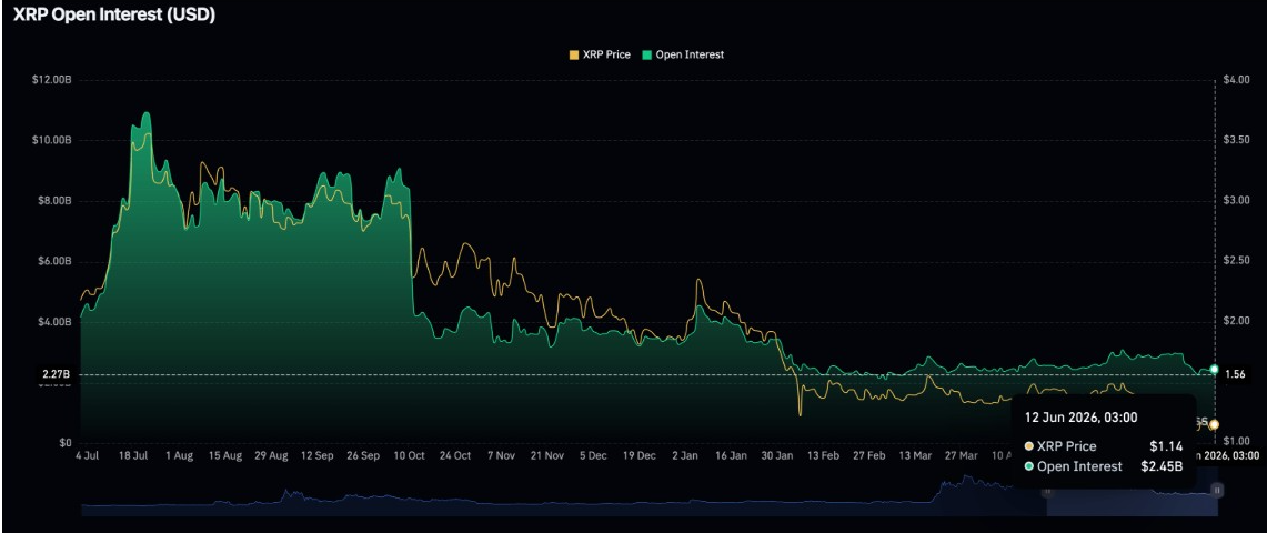 XRP Open Interest |  Source: CoinGlass