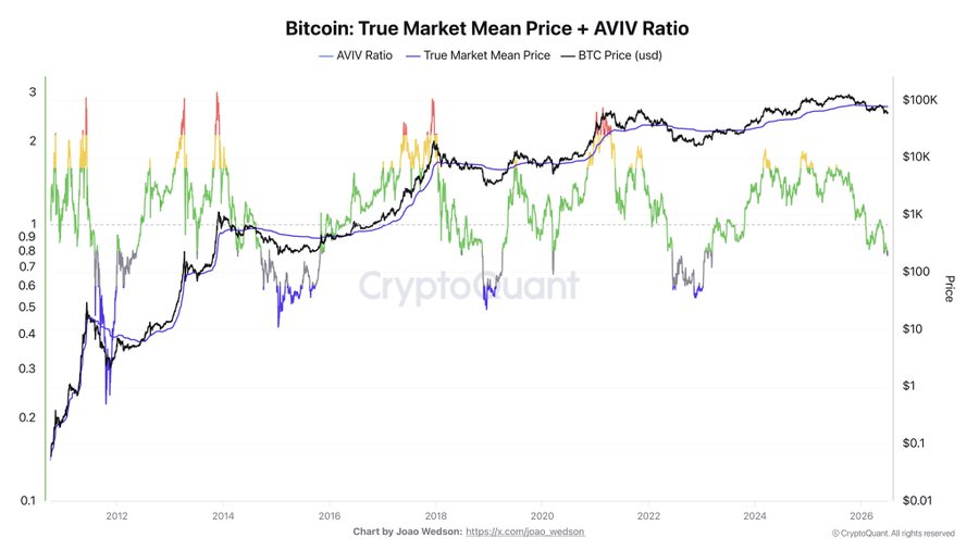 True Market Mean Price | Source: CryptoQuant