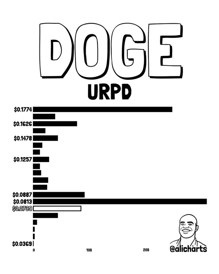 DOGE URPD Chart | Source: Ali, X