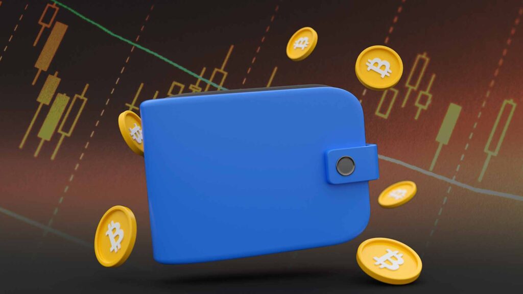 Las carteras más grandes de Bitcoin alcanzan su máximo en seis meses