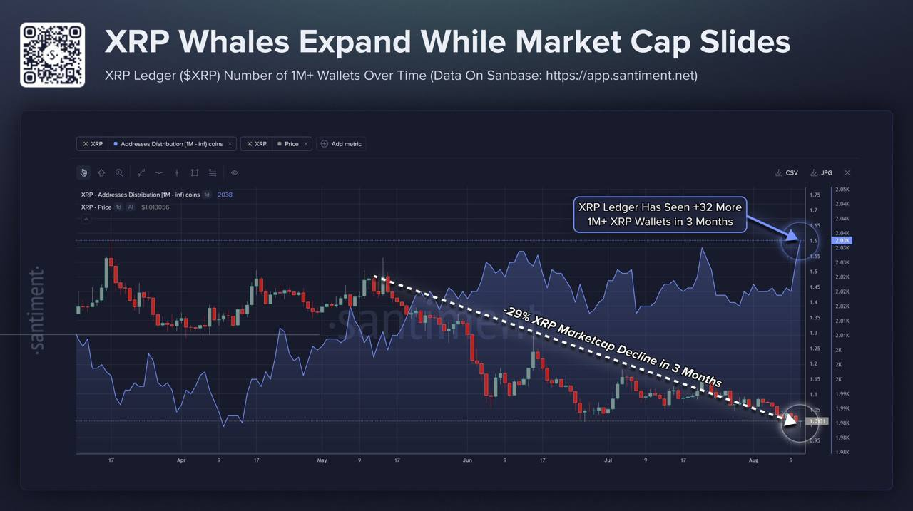 XRP whales are increasing despite the decline. (Source: Santiment)