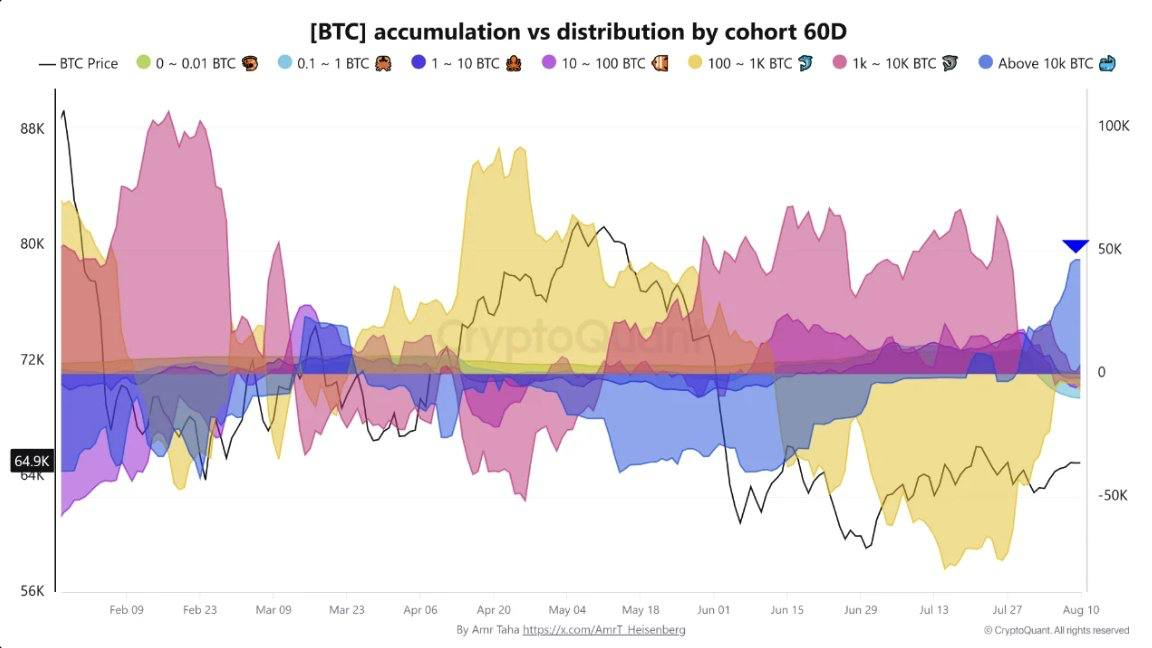 Acumulación frente a distribución de bitcoins por cohorte (Fuente: CryptoQuant)