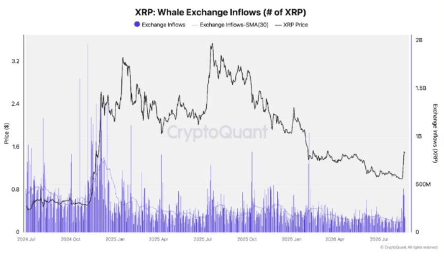 XRP Whales | Source: <a href=