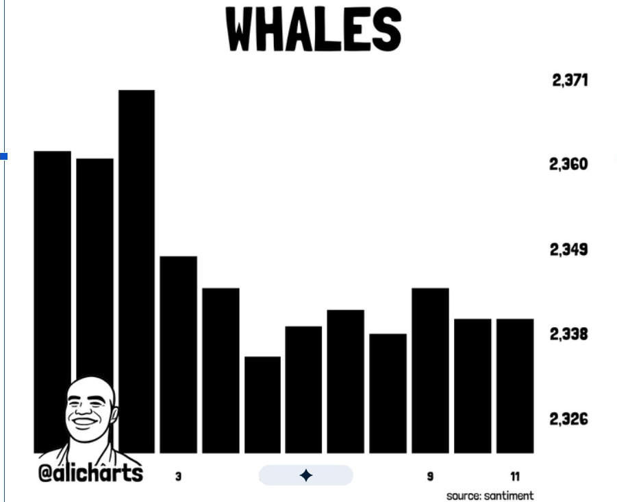 ADA Whales | Source: X