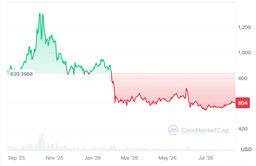 BNB is down 29% in the past year. (Source: CoinMarketCap)