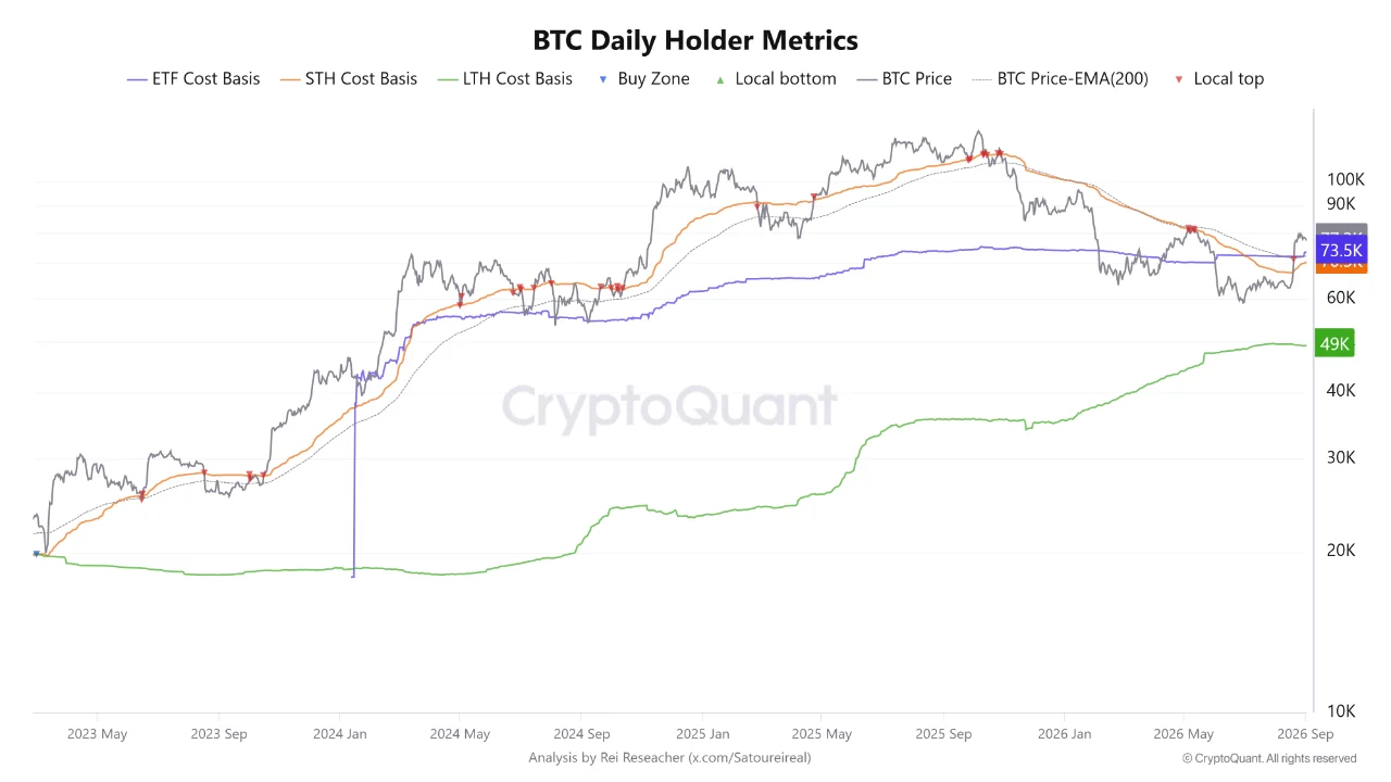 Bitcoin holder metrics. Source: CryptoQuant