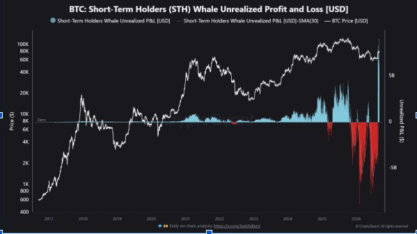 BTC short-term holder whale Unrealized Profit and Loss | Source: <a href=
